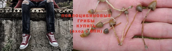 а пвп мука Белокуриха