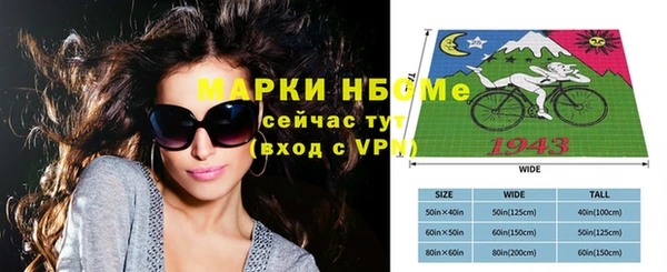 индика Кукмор