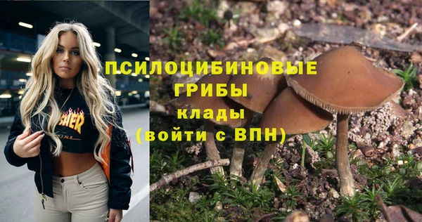 а пвп мука Белокуриха