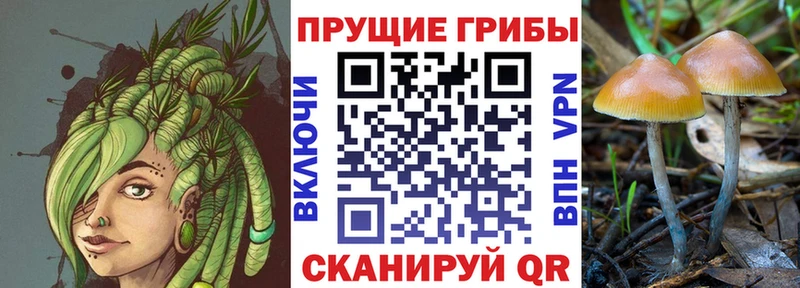 Купить закладки Анадырь Псилоцибиновые грибы ЛСД