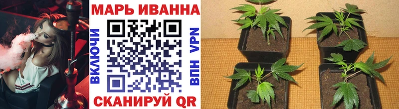 Купить где Анадырь Марихуана планчик